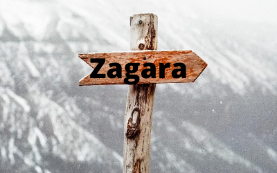 Consignes d’utilisation des synergies Zagara