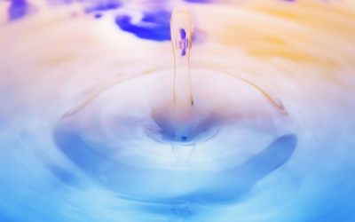 Qu’est-ce qu’une synergie d’hydrolats ?