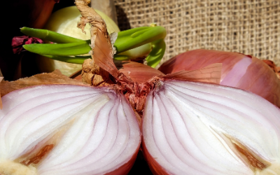 Rondelles d&rsquo;oignons sous vos pieds contre la fièvre et les nez bouchés