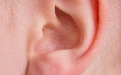 Otothérapie : quand les oreilles nous aident à soigner notre corps !